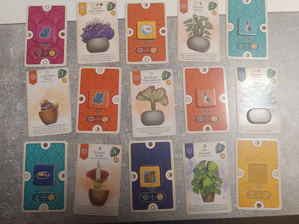 Ein komplett voller Raum